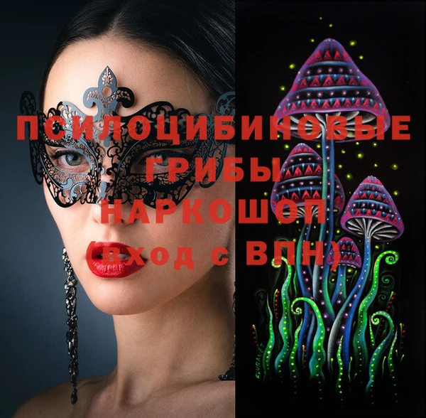 прущие крисы Елизово