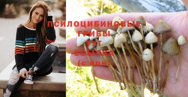 apvp Алексин