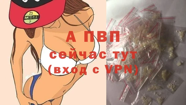 соль ск Алзамай